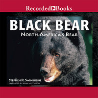 Black Bear: North America's Bear - Stephen R. Swinburne