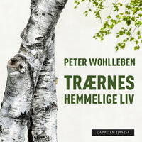 Trærnes hemmelige liv - Peter Wohlleben