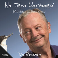 No Tern Unstoned - Tim Bowden