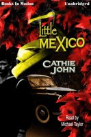 Little Mexico - Cathie John
