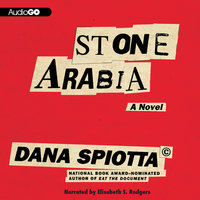 Stone Arabia - Dana Spiotta