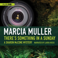 There’s Something in a Sunday - Marcia Muller