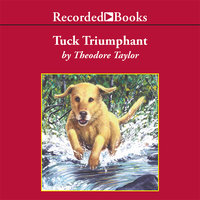 Tuck Triumphant - Theodore Taylor
