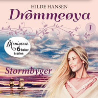 Stormbyger - Hilde Hansen