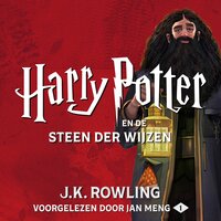 Harry Potter en de Steen der Wijzen - J.K. Rowling