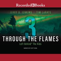 Through the Flames - Jerry B. Jenkins, Tim LaHaye