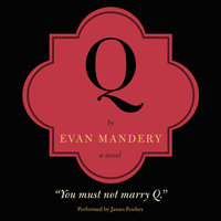 Q: A Novel - Evan Mandery
