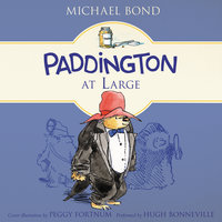 Paddington at Large - Michael Bond