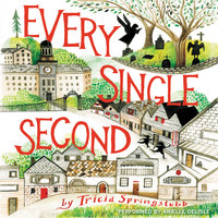 Every Single Second - Tricia Springstubb
