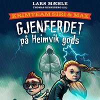Gjenferdet på Heimvik gods - Lars Mæhle