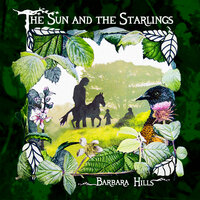 The Sun and the Starlings - Barbara Hills