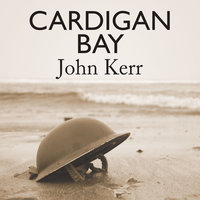 Cardigan Bay - John Kerr