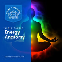 Energy Anatomy - Various authors