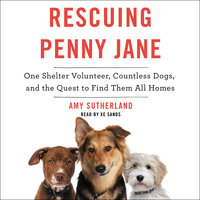 Rescuing Penny Jane: One Shelter Volunteer, Countless Dogs, and the Quest to Find Them All Homes - Amy Sutherland