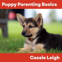 Puppy Parenting Basics - Cassie Leigh