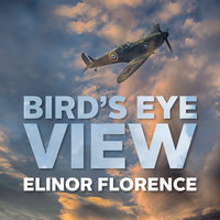 Bird's Eye View - Elinor Florence
