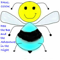 Pete the Bee and the Adventure in the Night - Paul Cook