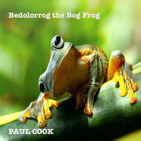 Bedolorrog the Bog Frog - Paul Cook