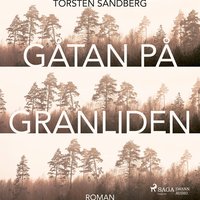 Gåtan på Granliden - Torsten Sandberg