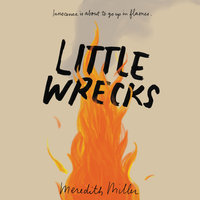 Little Wrecks - Meredith Miller