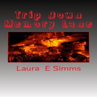 Trip Down Memory Lane - Laura E. Simms