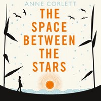 The Space Between the Stars - Anne Corlett