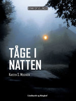 Tåge i natten - Karsten S. Mogensen