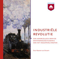 Industriële revolutie: Een hoorcollege over de ontstaansgeschiedenis van het industriële westen - Maarten van Rossem