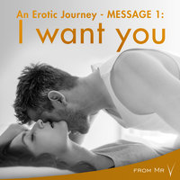 An Erotic Journey, Message 1 - I want you - from Mr V.