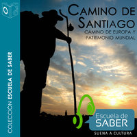 Camino de Santiago - Francisco Singul
