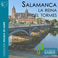 Salamanca - no dramatizado - Francisco Javier Lorenzo