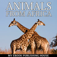 Animals from Africa - Various authors