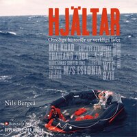 Hjältar : otroliga historier från verkliga livet - Nils Bergeå