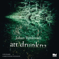 Att drunkna - Johan Björkstedt