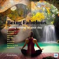 Taking Control of your Day: Be Fabulous - Brenda Shankey
