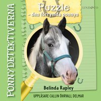Puzzle – den förrymda ponnyn - Belinda Rapley
