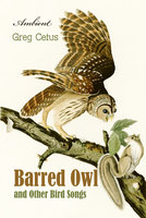 Barred Owl and Other Bird Songs: Nature Sounds for Reflection - Greg Cetus