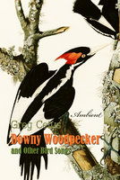 Downy Woodpecker and Other Bird Songs: Nature Sounds for Awakening - Greg Cetus
