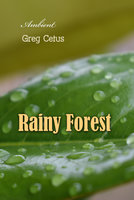 Rainy Forest: Ambient Nature Sounds - Greg Cetus