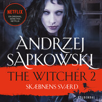 THE WITCHER 2: Skæbnens sværd - Andrzej Sapkowski