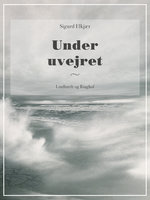 Under uvejret - Sigurd Elkjær
