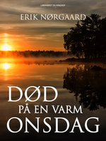 Død på en varm onsdag - Erik Nørgaard
