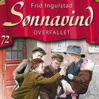 Sønnavind 72: Overfallet - Frid Ingulstad