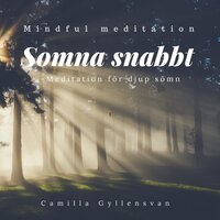 Somna snabbt -meditation för djup sömn - Camilla Gyllensvan