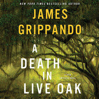 A Death in Live Oak: A Jack Swyteck Novel - James Grippando