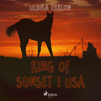King of Sunset i USA - Ulrika Ekblom