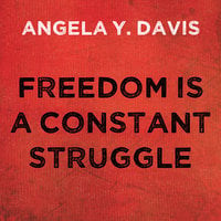 Freedom is a Constant Struggle: Ferguson, Palestine, and the Foundations of a Movement - Angela Y. Davis
