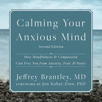 Calming Your Anxious Mind: How Mindfulness and Compassion Can Free You from Anxiety, Fear, and Panic - Jeffrey Brantley, MD