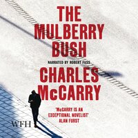 The Mulberry Bush - Charles McCarry