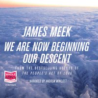 We Are Now Beginning Our Descent - James Meek